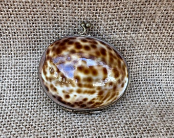 Cowrie Shell Look Coin Pill Box