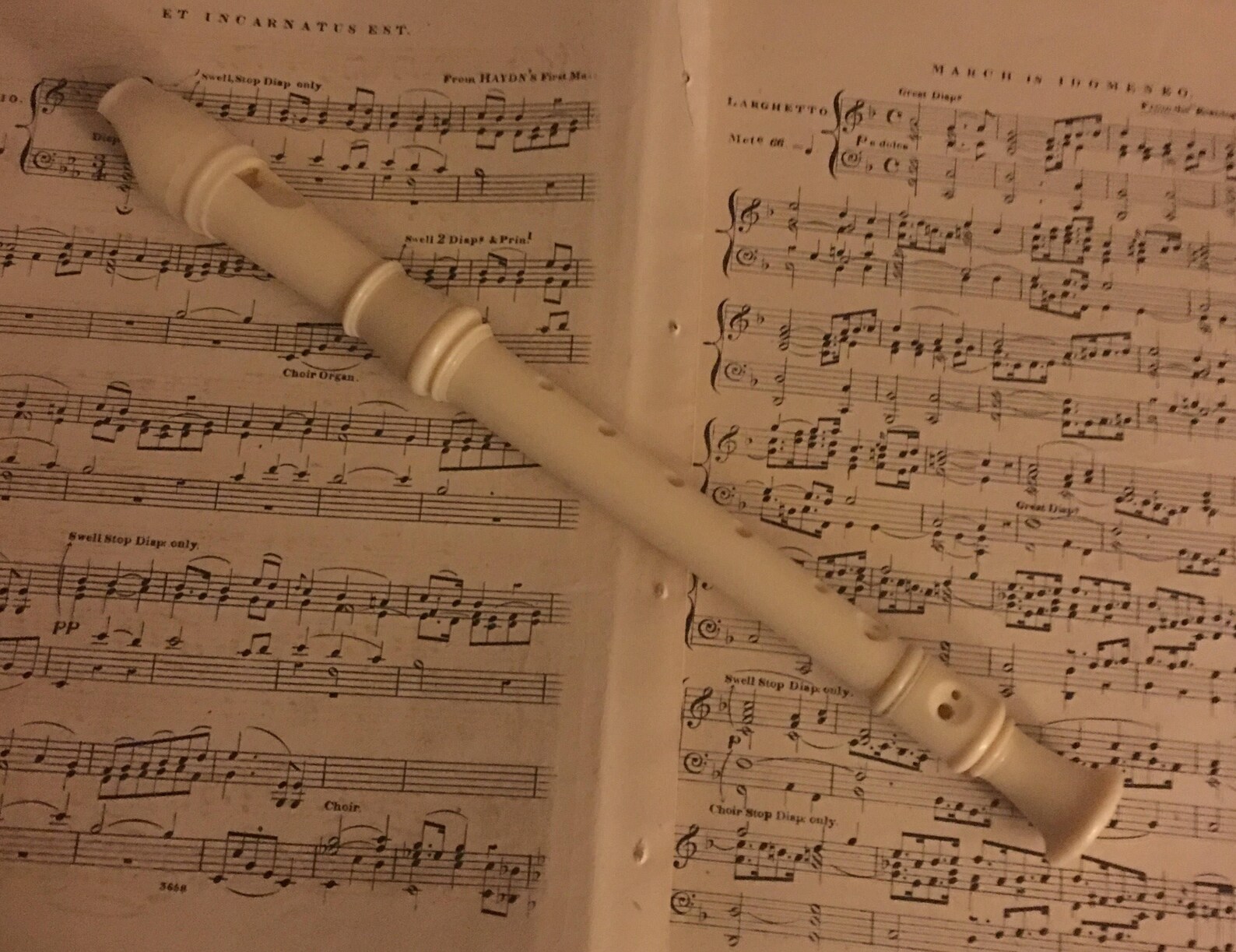 White Plastic Basic Flute/ FREE SHIPPING Etsy