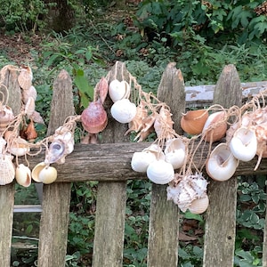 Beach Decor Shells Rope 5 Ft L