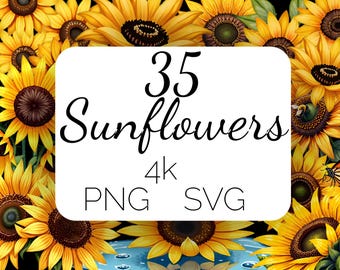 35 Sonnenblumen Clipart SVG & PNG - Druckbare digitale Sonnenblumen Illustrationen, Sofort Download