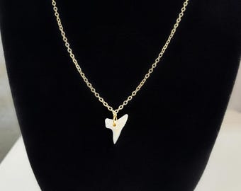 Shark Tooth Necklace