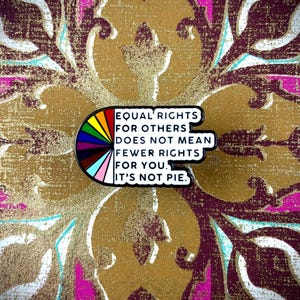 Op de afbeelding: Een kleurrijke emaille pin met de tekst "EQUAL RIGHTS FOR OTHERS DOES NOT MEAN FEWER RIGHTS FOR YOU. IT'S NOT PIE." De pin heeft een regenboogontwerp en is geplaatst tegen een patroonachtergrond.