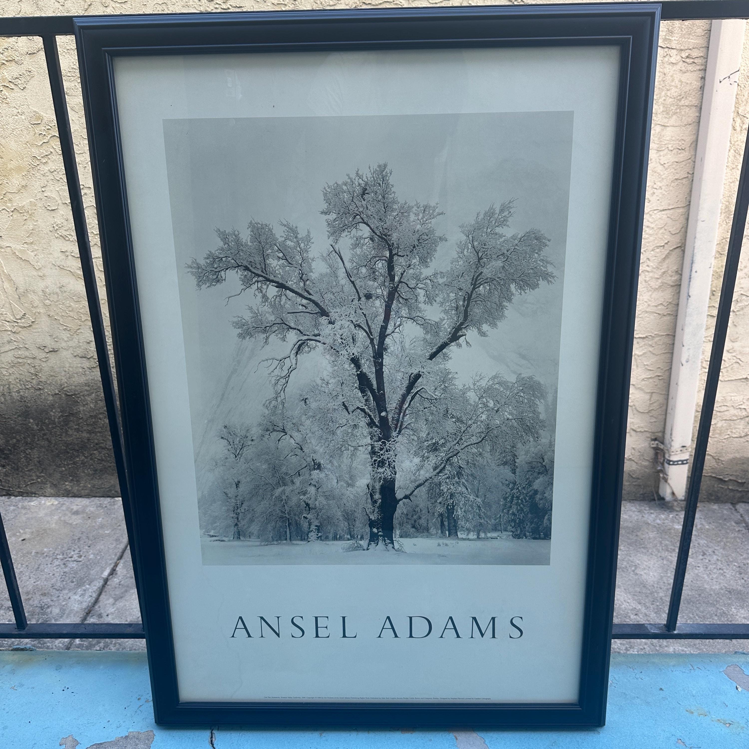Ansel adams tree print - Etsy 日本