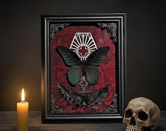 Decorazione murale con farfalla nera, vero esemplare di insetto in mostra, decorazione dark e curiosa, regalo gotico per lei, idea regalo di compleanno, decorazione murale da strega