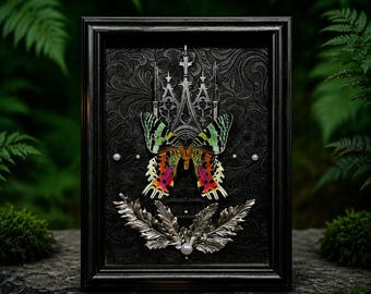 Real Sunset Moth Specimen Art, Gothic Entomology Wall Decor