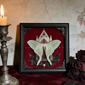 May include: Framed artwork showing a pale green moth with detailed wings, set against a deep red backdrop. The moth is positioned in front of a silver architectural design, framed in black. A pearl and dark leaves add detail.