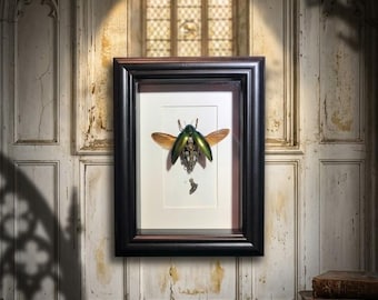 Steampunk Juwel Käfer Schattenbox, echte metallische Buprestid Insekt Kunst, Gothic Curio Rahmen, Cyberpunk Taxidermy Dekor