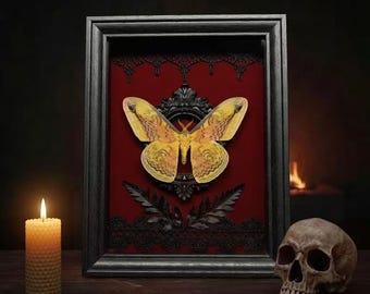 Specimenlijst echte nachtvlinder, schaduwdoos rode luipaardvlinder, gotisch muurdecor, natuurhistorische tentoonstelling, donkere academische wereld, rariteitenkabinet cadeau