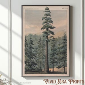 Vintage Tree Art Print Tall Redwood Wall Decor Botanical Nature Illustration Forest Landscape Poster Rustic Cabin Decor Lodge Wall Art