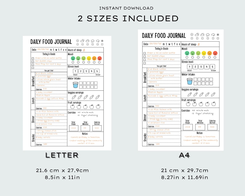 May include: A printable daily food journal in two sizes, Letter (8.5 x 11 inches) and A4 (8.27 x 11.69 inches). The journal includes sections for goals, mood, stress level, water intake, and food tracking for breakfast, lunch, dinner, and snacks.