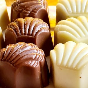Belgian Chocolate Pralines Noisette luxurious gift for any occasion (12-approx 250g)dark chocolate, hazelnut filling, milk chocolate. white