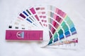 SOFT SUMMER Colour Swatch product logo