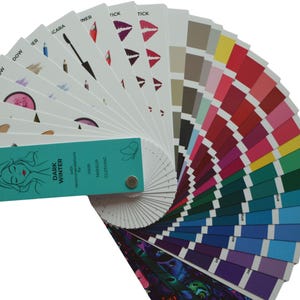 Muestra de color INVIERNO OSCURO