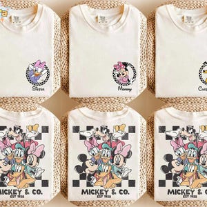 Vintage Mickey & Friends T-Shirt, Crop Top, Disney Urlaub Shirt, kariertes Magic Kingdom Design, Familien T-Shirt, BTW Disneyland