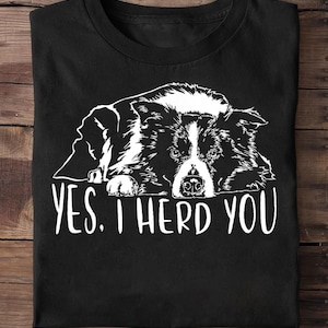 Border Collie I Herd You Herd You Dog Dog Saying, Border Collie Halloween, Border Collie T-Shirt, Border Collie Shirt,Cute Collie T-shirt
