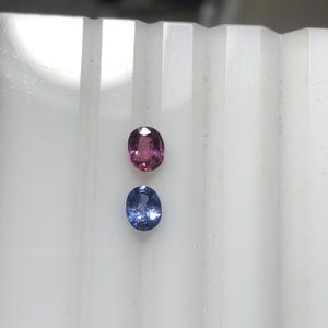 Par med naturliga safirer i omvänd riktning, 0,95 ct uppvärmda Sri Lanka - rosa och blå ovala örhängen i ädelstenar
