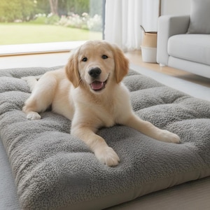 Extra Large Plush Dog Bed – Thick Supportive Pet Sofa Mat