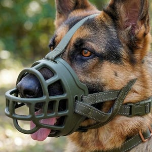 May include: A German Shepherd dog wearing a green muzzle. The muzzle is made of a cage-like design with adjustable straps and a buckle closure. The dog's fur is a mix of black, brown, and tan. The dog's tongue is visible.