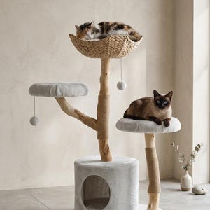 May include: A multi-level cat tree with a woven basket, plush platforms, and a hideaway. Two cats are resting on the tree. The tree is made of wood and rope, with a light gray base and platforms. A cat toy hangs from the top level.