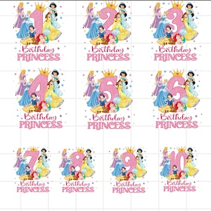 1st Birthday Princess PNG, Princess Birthday png,Princess birthday girl png, Princess cake topper, Princess Party with Belle Sleeping Beauty