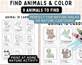 Nature and Animal ID Cards Printable -  Preschool Outdoor Activity | Color & Check Off Scavenger Hunt