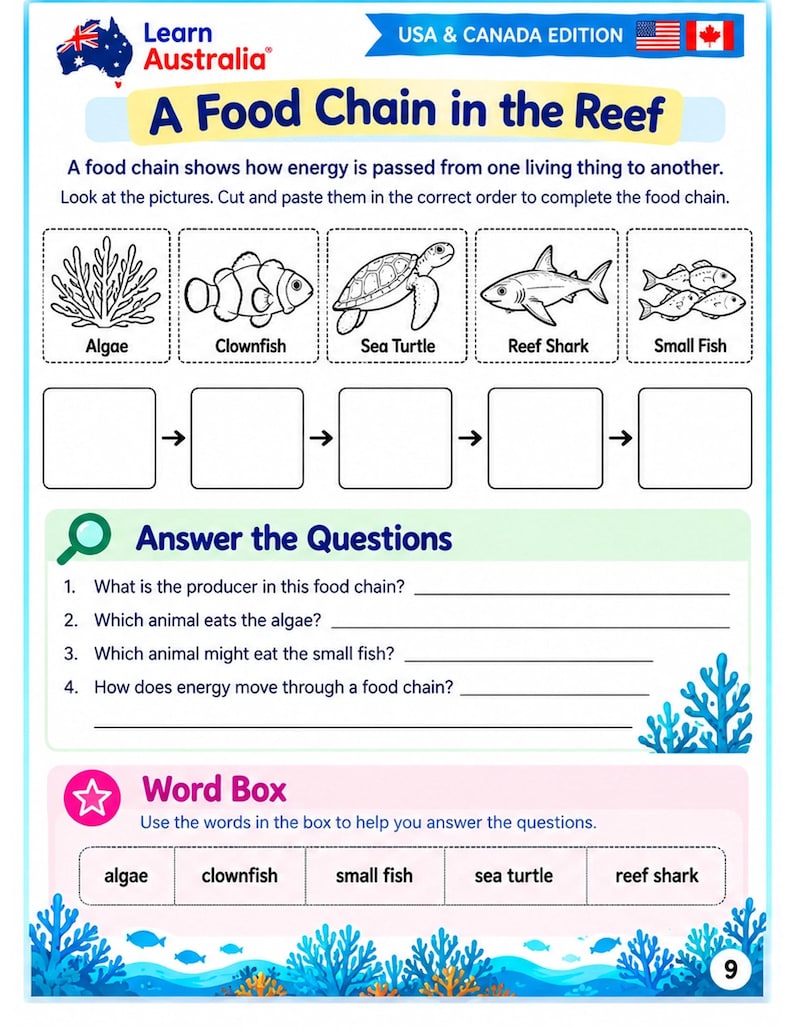 Great Barrier Reef Worksheets for Kids, Ocean Science Activities, Coral ...