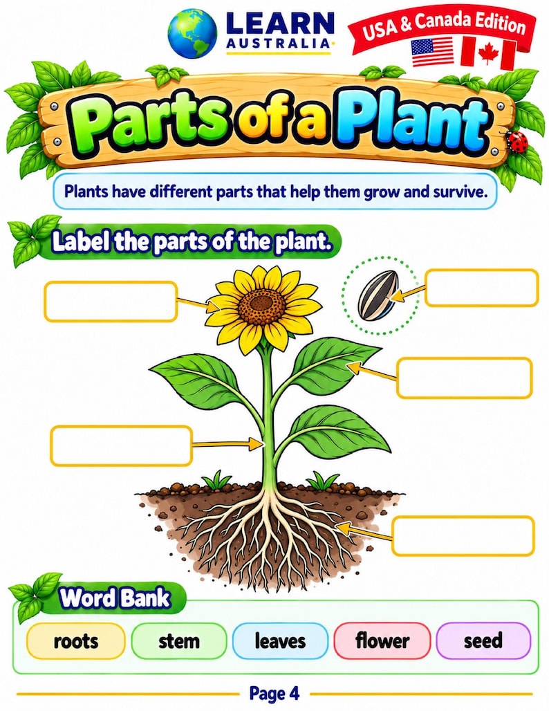 Plants & Animals Worksheets for Kids, Life Science Activities, Habitats