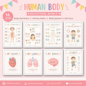 May include: A set of 16 educational posters titled Human Body Educational Bundle, featuring illustrations of body systems, organs, and senses. Each poster includes text labels and diagrams for body awareness, healthy habits, and self-care topics.