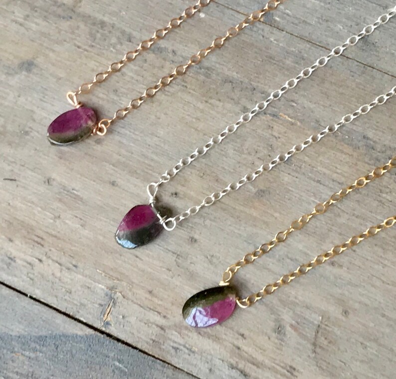 •RENEWAL• watermelon tourmaline + wing + silver necklace (18