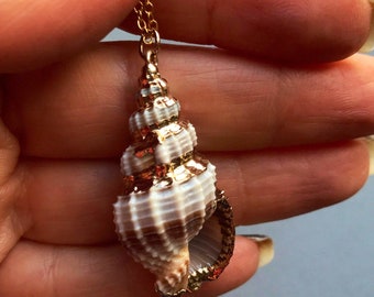 Sale Natural Sea Shell Gold dipped pendant chain necklace.  Mermaid jewelry. Hawaii