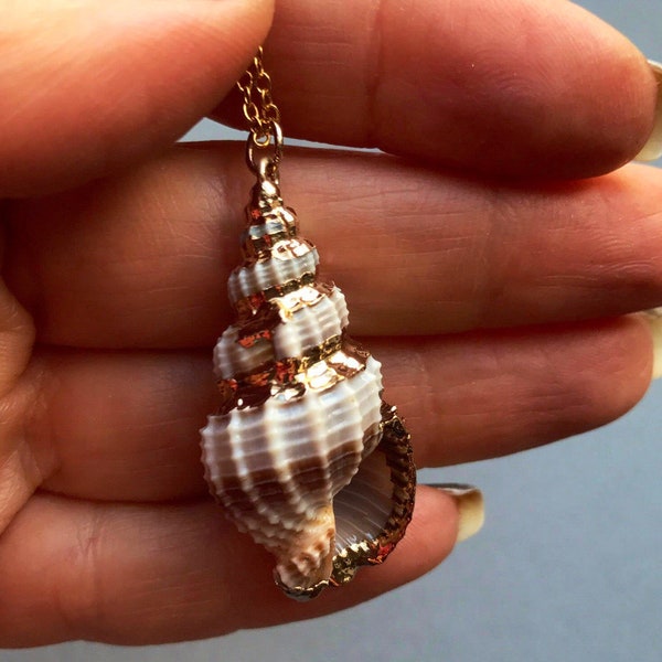 Sea Shell Necklace - Etsy