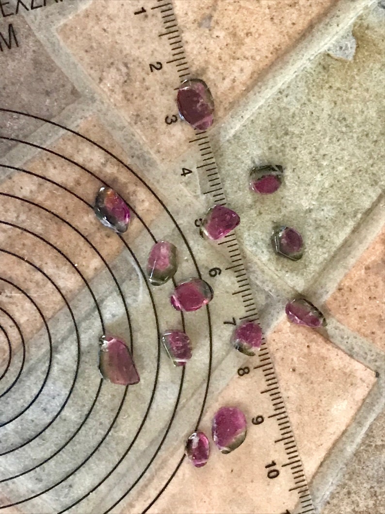 •SUEÑO• watermelon tourmaline + ouroboros + gold necklace (18