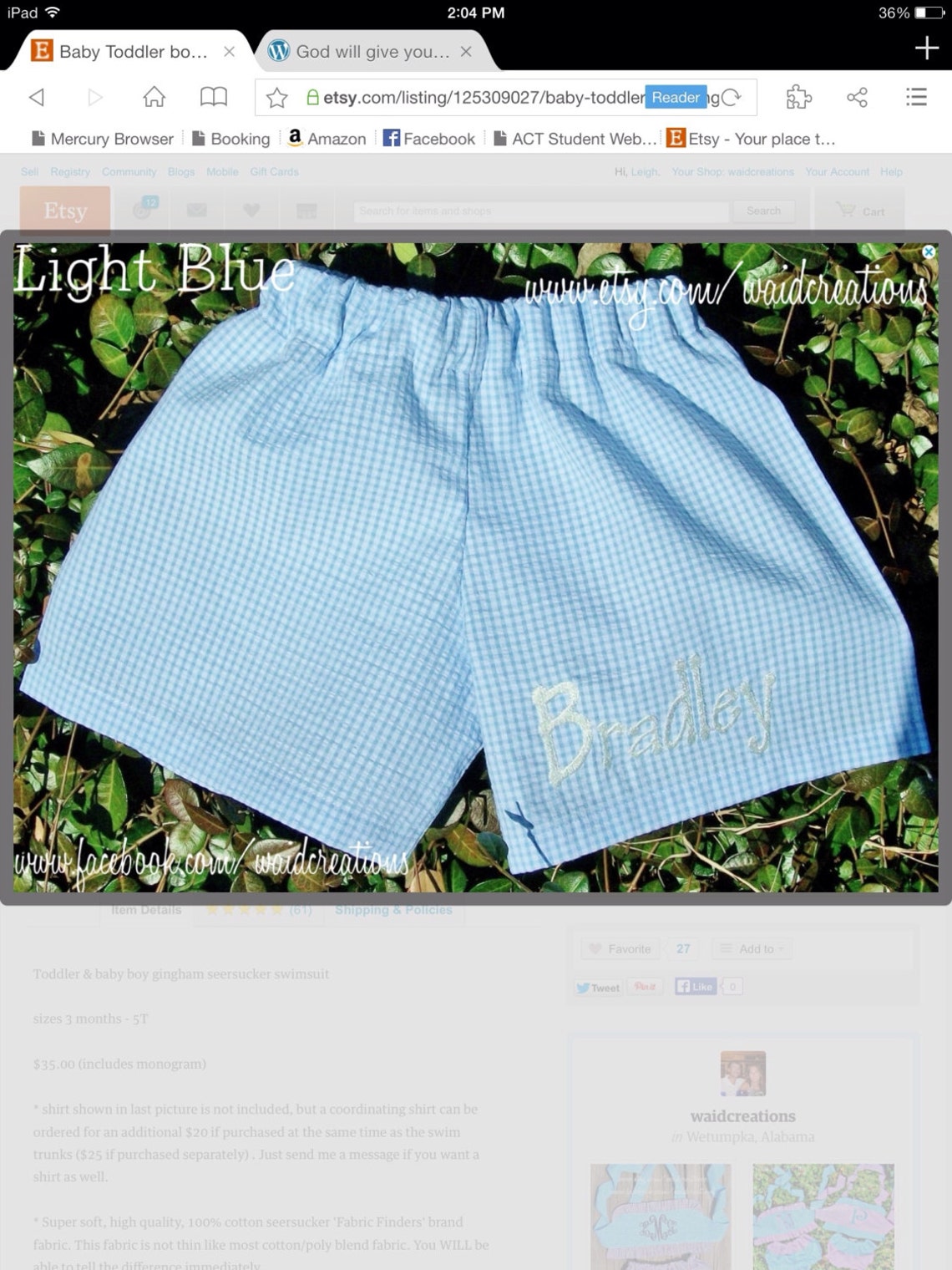 Baby Toddler Boy Gingham Swimsuit Etsy