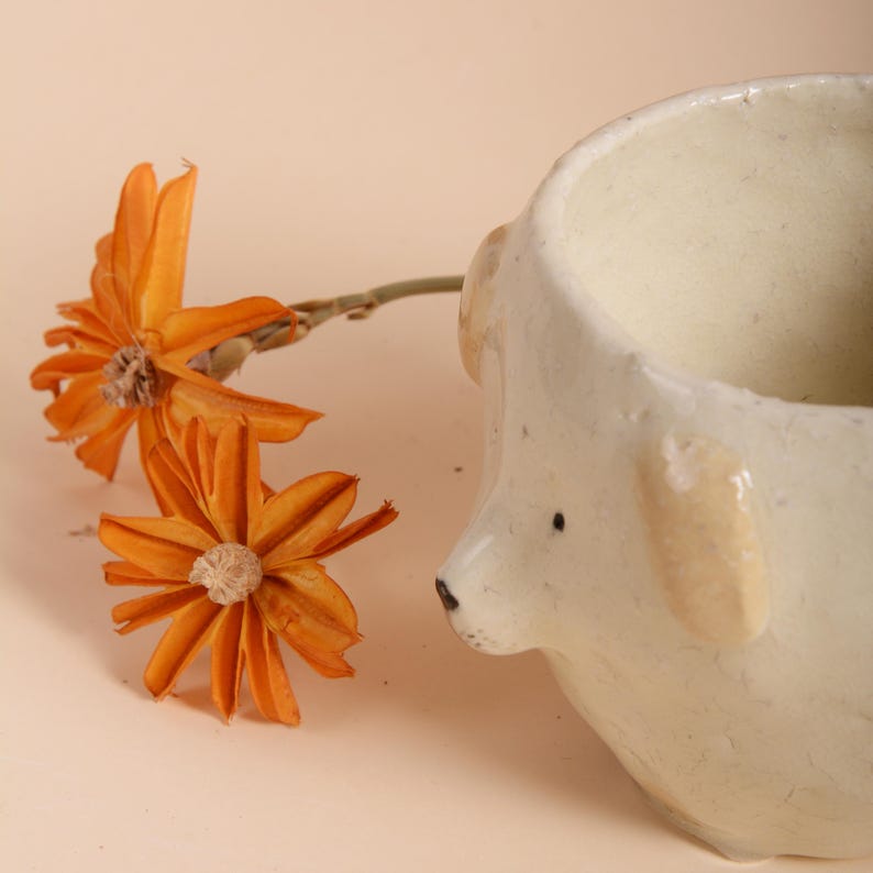 Puede incluir: Una maceta de cer&aacute;mica color crema con forma de perro con una peque&ntilde;a nariz y ojos negros. La maceta tiene orejas de color beige. Flores secas de color naranja junto a la maceta.