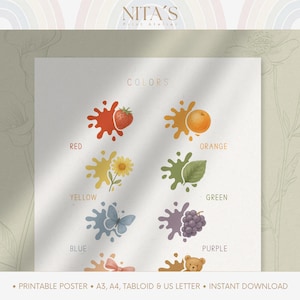 Tabla de colores imprimible para niños / Póster de colores Montessori / Arte mural de aprendizaje para niños pequeños / Imprimible preescolar tranquilo y divertido / Descarga digital