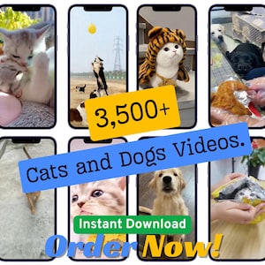 May include: A collage of images featuring cats and dogs in various poses. The text "3,500+ Cats and Dogs Videos. Instant Download Order Now!" is displayed on the image.