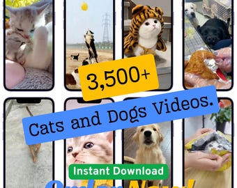 3500+ Funny Cat and Dog Videos, Cute Kitten & Puppy Fail Moments Viral Animal Memes, Asmr Instagram Reels YouTube Shorts TikTok Clips Bundle