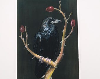 Corbeau sur branche d'églantier A5 | Art mural nature gothique | Illustration d'oiseau | Cadeau pour amoureux des animaux
