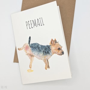 Carte de voeux drôle de Yorkie de Peemail | d'amoureux des chiens | Carte d'anniversaire pour propriétaires de chiens | Carte de voeux drôle de chien de Zazzle.be Liste d'envies Vous avez des idées ? Yorkshire terrier