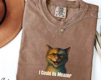 May include: Espresso-colored t-shirt with a cat graphic that is half orange and half blue. The text "I Could Be Meaner" is below the cat image. A silver necklace and a brown hat are also in the image.