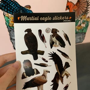 Set med klistermärken från Martial Eagle