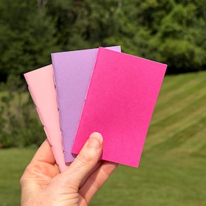 May include: Three small, rectangular notebooks with plain, solid-colored cardstock covers in shades of light pink, lavender, and vibrant magenta. Each notebook features a simple stitched spine binding along the left edge, held in a fan-like arrangement.