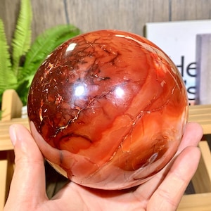 Può includere: Una sfera di corniola lucidata, che mostra una miscela di tonalità arancioni e rosso-brunastre. La gemma presenta intricati motivi di venature sulla sua superficie. La sfera è tenuta in una mano, evidenziando la sua qualità liscia e riflettente.