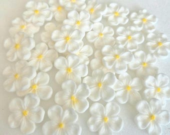 Handmade Edible Sugar Blossom Cake Toppers - White Flowers, Yellow Centers (30pc)