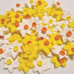 May include: A cluster of yellow and white daffodil flowers with orange centres. The flowers are densely packed, creating a vibrant, colourful display. The petals are detailed, and the overall effect is bright and cheerful.