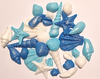 Coquillages comestibles en sucre : décorations pour cupcakes bleu, bleu aqua et blanc avec reflets