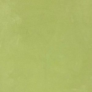 Inchworm - Hand Dyed Lugana - 25, 28, 32ct - Cross Stitch Fabric - Embroidery Fabric - Needlepoint Fabric