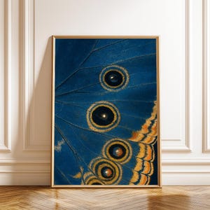 Op de afbeelding: Een ingelijste kunstdruk met een close-up van een vlindervleugel. De vleugel heeft een levendige blauwe kleur met ingewikkelde patronen, waaronder cirkelvormige oogachtige markeringen in zwart en goud. Het kunstwerk is ingelijst in een gouden lijst.