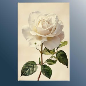 Elegant White Rose Canvas Wall Art