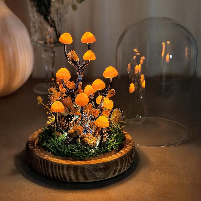 May include: A decorative mushroom terrarium with glowing orange caps and a wooden base. The miniature scene includes moss, small pumpkins, and dried foliage, all under a glass dome. The warm lighting creates a whimsical, fairy-tale aesthetic.